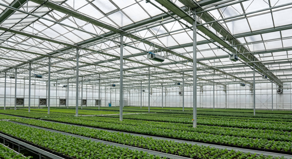 Crop‑Planting Greenhouse Structures - Agricultural Stee...