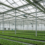 Crop‑Planting Greenhouse Structures