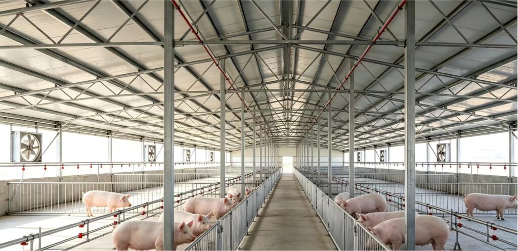 Livestock‑Breeding Steel Barns - Agricultural Steel Bui...