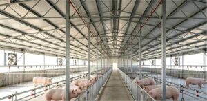 Livestock‑Breeding Steel Barns - Agricultural Steel Buildings - yuechensteelbuilding.com