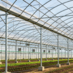 Crop‑Planting Greenhouse Structures - Agricultural Stee...