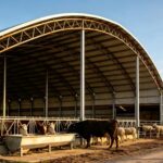 Livestock‑Breeding Steel Barns - Agricultural Steel Bui...