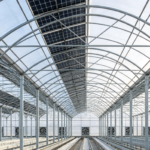 Solar Greenhouse Mounting Brackets - New‑Energy Supporting Steel Frames - yuechensteelbuilding.com